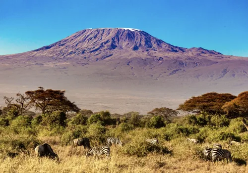 Mount Kilimanjaro