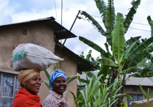 Koffietour & Materuni