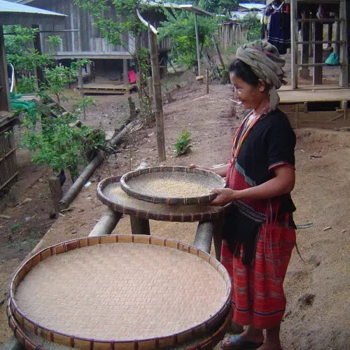 Karen Hilltribe Village