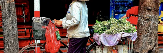 Zorg en verzekeringen Vietnam