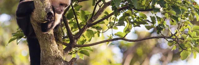 Betalen, pinnen en geld opnemen Costa Rica
