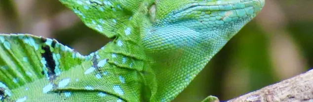 Visum Costa Rica
