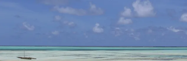 Kosten en budget Tanzania