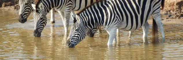 Welk deel van Zuid-Afrika is het mooist?