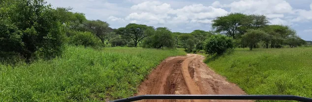 Georganiseerde rondreizen Tanzania