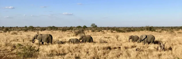 Kosten en prijzen Zuid-Afrika