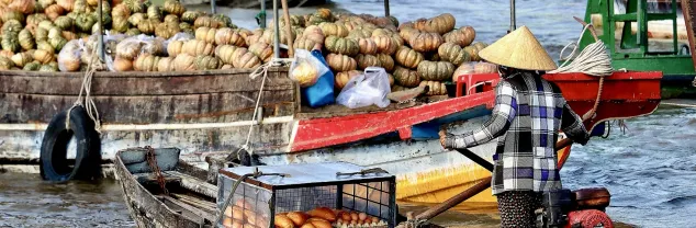 Reisvaccinaties Vietnam