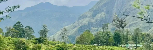 Kosten en budget Sri Lanka