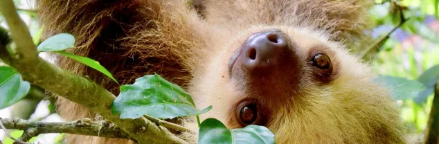 Hoe is de situatie in Costa Rica?
