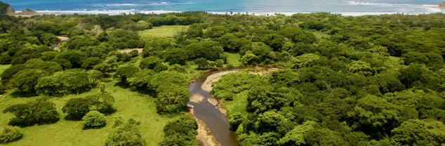 Kosten en budget Costa Rica