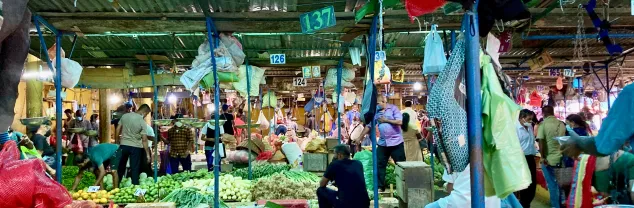 Reisvaccinaties Sri Lanka