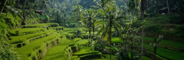 10 Redenen waarom je naar Bali moet!