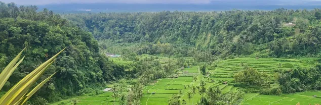 Familiereizen Bali