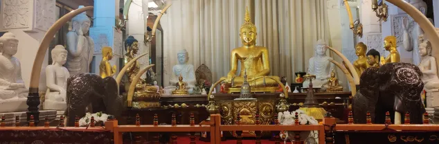 Georganiseerde rondreizen Sri Lanka