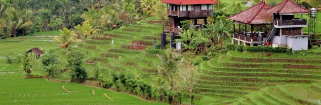 Kosten en budget Bali