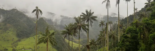 Welk deel van Colombia is het mooist?