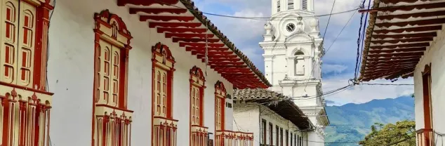 Reisvaccinaties Colombia