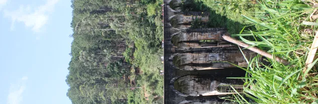 Welk deel van Sri Lanka is het mooist?