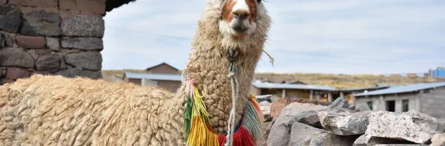 Hoe lang rondreizen in Peru?