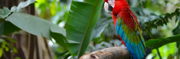 10 redenen om naar Colombia te reizen