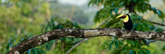 Zorg en verzekeringen Costa Rica