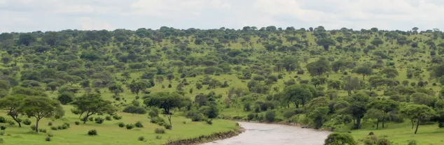 Temperatuur en klimaat Tanzania