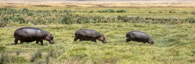 10 Redenen waarom je naar Tanzania moet!