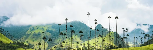 Kosten en prijzen Colombia