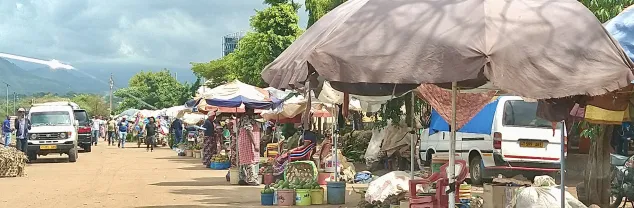 Zorg en verzekeringen Tanzania / Zanzibar