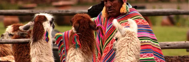 Kosten en budget in Peru