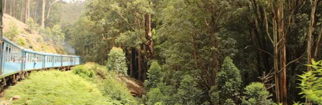 Hoe is de situatie in Sri Lanka?