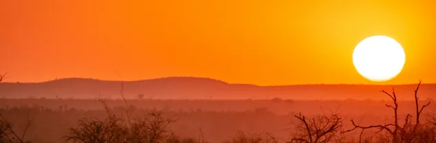 Zorg en verzekeringen Zuid-Afrika