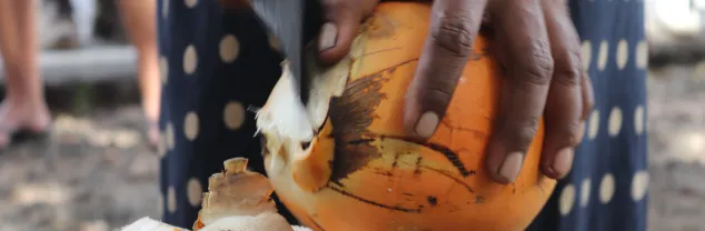 Veiligheid Sri Lanka