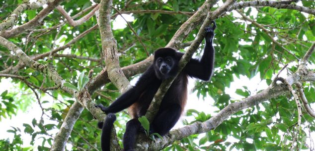 Costa Rica