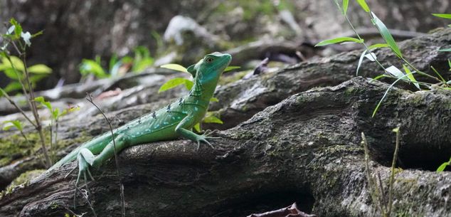 Costa Rica