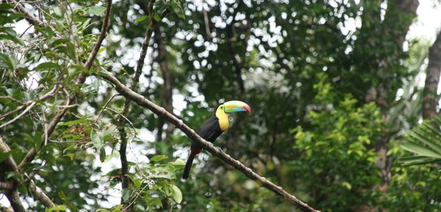 Costa Rica