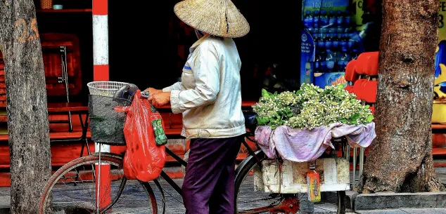 Zorg en verzekeringen Vietnam