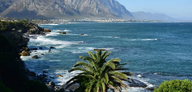 Is Zuid-Afrika de moeite waard?