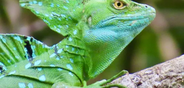 Visum Costa Rica