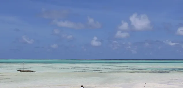 Kosten en budget Tanzania