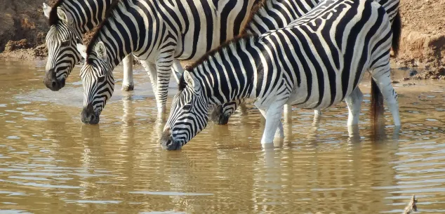 Welk deel van Zuid-Afrika is het mooist?