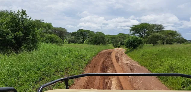 Georganiseerde rondreizen Tanzania