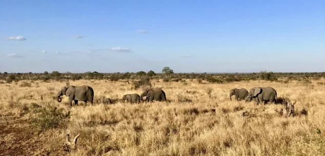 Kosten en prijzen Zuid-Afrika