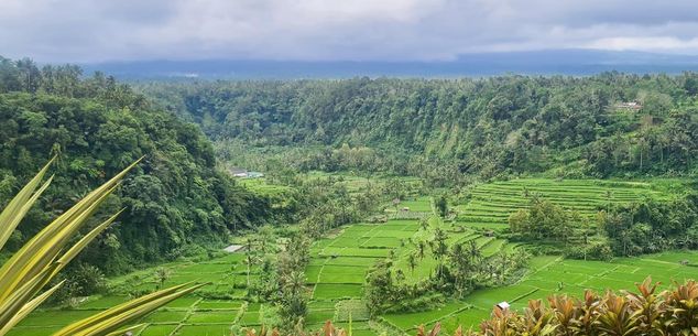 Tips & tricks Bali