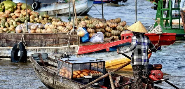 Reisvaccinaties Vietnam
