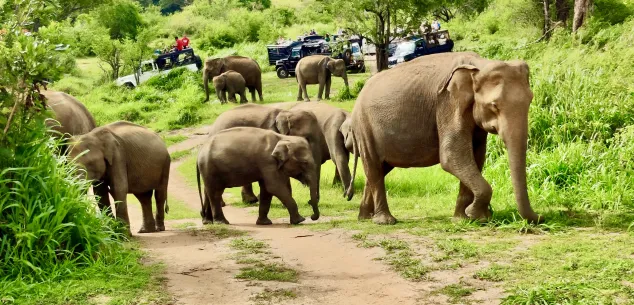 Over Sri Lanka