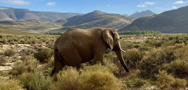 Beste reistijd Zuid-Afrika