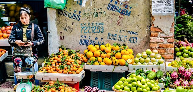 Rondreizen Vietnam