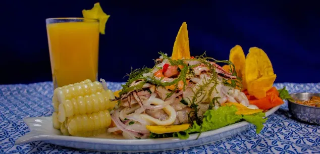 Zorg en verzekeringen Peru