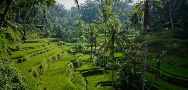 10 Redenen waarom je naar Bali moet!